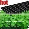 Plastic Seedling Tray thumbnail-1