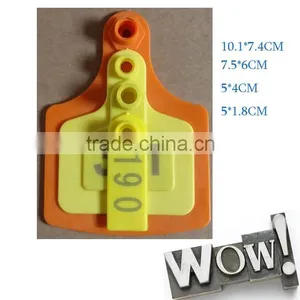 Orange Adult Cattle Ear Tag/calf Ear Tag thumbnail-4