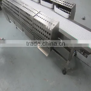 Food Grade PP Belt Conveyor System for Different Industries thumbnail-5