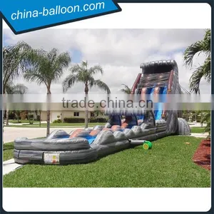 Amusement Park 30 FT 2 Lane Inflatable Water Slides Custom PVC Waterproof thumbnail-2