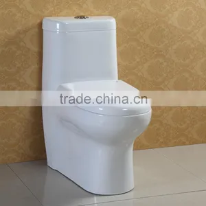 Siphonic Dual Flush Water Saving One Piece Toilets thumbnail-3