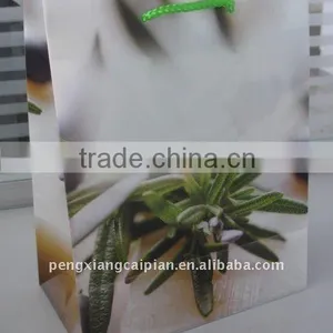 Plastic Handbag for Daily Life thumbnail-1
