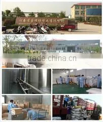 Changge Ruifengfang Bee Products Co., Ltd. company overview - view 1 thumbnail