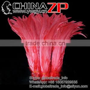 NO.1 Supplier CHINAZP Bulk Sale Good Quality Cheap Colored Melon Red Fully Dyed Rooster Chicken Feathers thumbnail-1