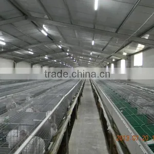 Rabbit Cage System thumbnail-1