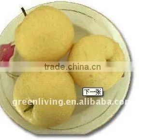 Snow Pear in Market thumbnail-1