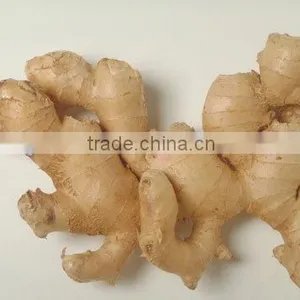 Fresh Ginger for Sell/USA MARKET/Long Beach thumbnail-1