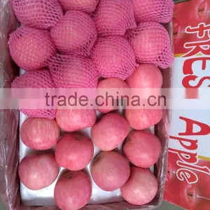 Common Cultivation Type and Pome Fruit Product Type Fresh Apple Fruit for Sale thumbnail-1