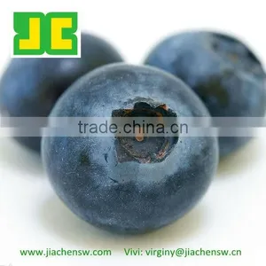 100%Natural Fruit Extract ,Blueberry Powder thumbnail-1
