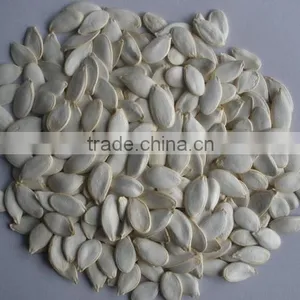 Snow White Pumpkin Seeds thumbnail-1