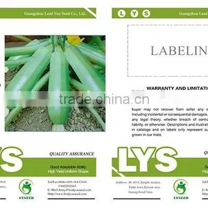 NSQ10 Jintan Hybrid Long Shape Zucchini Seeds thumbnail-2