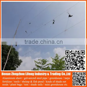 High Quality Anti Bird Net / pe Anti Bird Net / Plastic Bird Net for Protecting Grape,anti Bird Net Made in China China thumbnail-1