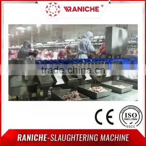 Automatic Chicken Wings and Meats Weight Sorting Machine thumbnail-2
