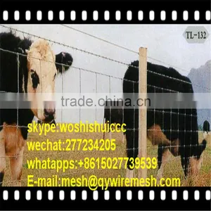 Factory Supply High Quality Farm Fence / Field Fence & Cattle Fence / Horse Farm Fence thumbnail-2
