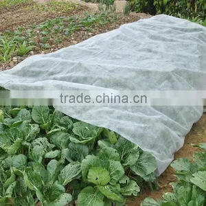 UV-stable pp Nonwoven Fabric for Garden and Agriculture Cover thumbnail-1