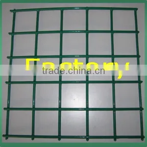Welded Wire Mesh(15 Years Factory) thumbnail-5