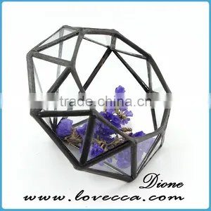 2017 High Quality Geometric Glass Terrarium Container thumbnail-1