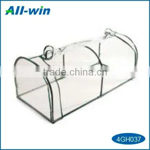 Hot Sale Small Tunnel Greenhouse for Garden Use thumbnail-1