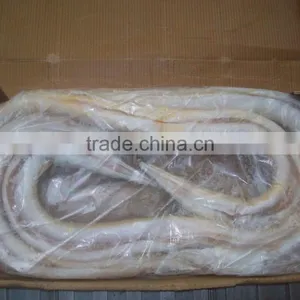 Frozen Eel Fish thumbnail-2