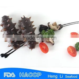 HL011 Hot Sale Frozen Floridana Sea Cucumber thumbnail-3