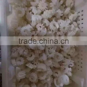 Squid Flowers Hot Selling thumbnail-2