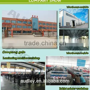 Audley (ICC Color System)Digital Fabric Printing Machine Price (RIP Software) thumbnail-3