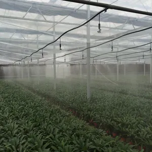 Hydroponic PC Sheet Greenhouse With Irrigation/Fertilization System thumbnail-3