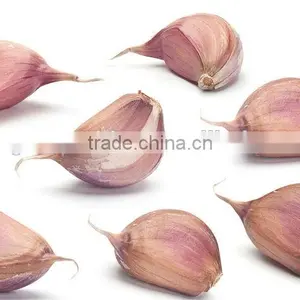 Automatic Garlic Breaking Machine|Hot Sale Garlic Clove Splitting Machine thumbnail-5