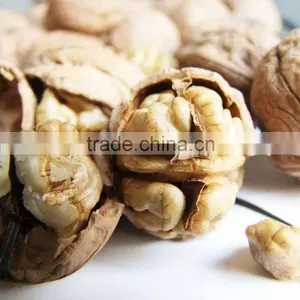 Thin Walnut in Shell thumbnail-1