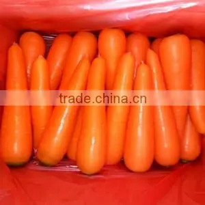 Hot Sale Big Yellow Onion Packing In Mesh Bag Sale In Market Price thumbnail-5