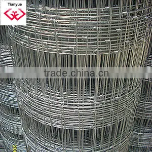 Galvanized or PVC Coated Quality Grassland Fence (ISO 9001) thumbnail-4