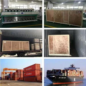 Popular Rice Color Sorter Sorting Sunflower Seeds Sesame Almond Grain Automatic Shape Color Sorter Optical Sorter thumbnail-6