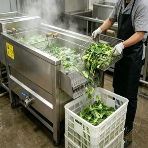 High Performance KI-055 Vegetable Blanching Machine 0-120C Adjustable Industrial Potato Blancher for French Fries Production thumbnail-5