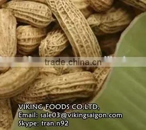 RED PEANUTS KERNEL/GROUNDNUTS_HIGH QUALITY thumbnail-1