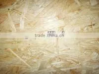 Waterproof OSB 3 for Packing-1250x2500x12mm 18mm thumbnail-1