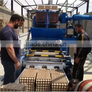 Egg Tray Packaging Pulp Molding Machine thumbnail-5