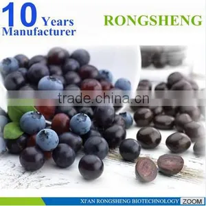 Hot Sale Freeze Dried Powder Organic Acai Berry thumbnail-4