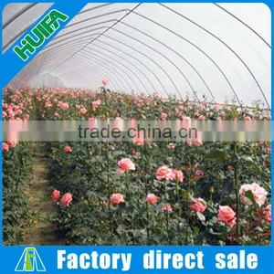Large Single Span Flower,vegetable,tomato Commercial Greenhouses in Nigeria thumbnail-6