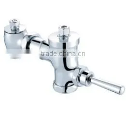 Flush Valves and Timing Taps thumbnail-1