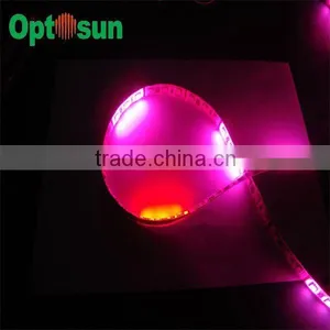 12v Car Led Rope Light With CE RoHS Listed thumbnail-1