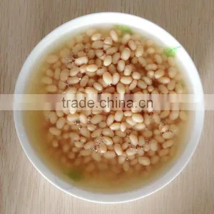 CHINA BIGGEST FACTORY TO SUPPLY CANNED WHITE BEANS 400GX24TIN thumbnail-3