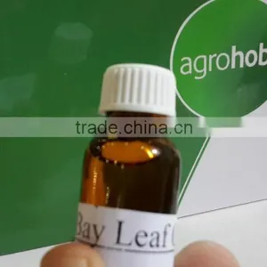 Laurel Bay Leaf Essential Oils , Laurel Oil thumbnail-1