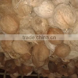 Todays Coconut Price in TamilNadu thumbnail-5