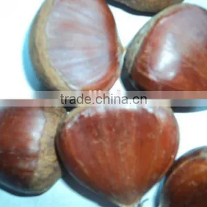 New Crop Organic Fresh Bulk Chestnuts Wholesale thumbnail-5