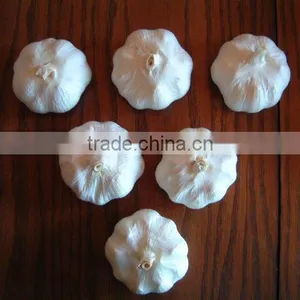 2012 Crop Pure White Garlic thumbnail-1