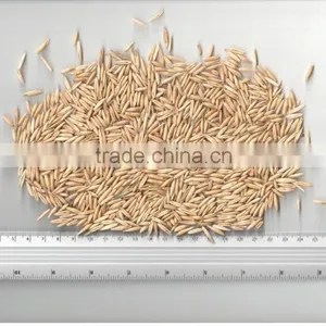 OATS thumbnail-4