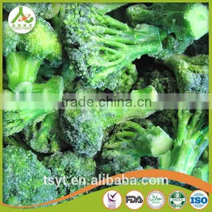 Chinese Fresh Frozen Broccoli thumbnail-6