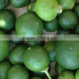 Herbal Extract Type and Hesperidin Powder Extract/Raw Material thumbnail-2