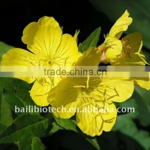 Evening Primrose Oil HALAL thumbnail-2