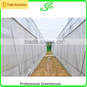 Whole Large Size Greenhouse for Produce thumbnail-2